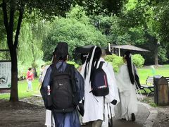 -荷塘月色湿地公园·向阳花洲