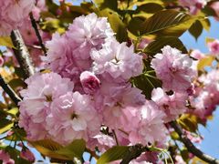 -大木小区斜土路1341弄