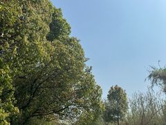 -沙家浜风景区