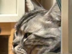 -美联众合动物医院·24h京西诊疗中心