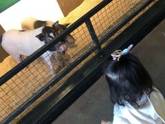 -昆明大悦城未来动物城(螺蛳湾中心店)