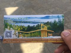 -五营红松林海景区