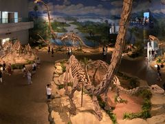 -自贡恐龙博物馆