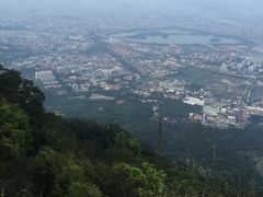 -乐享养生(东湖店)