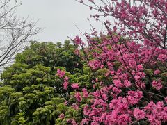 -堤角公园