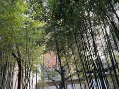 -陕拾叁(袁家村店)