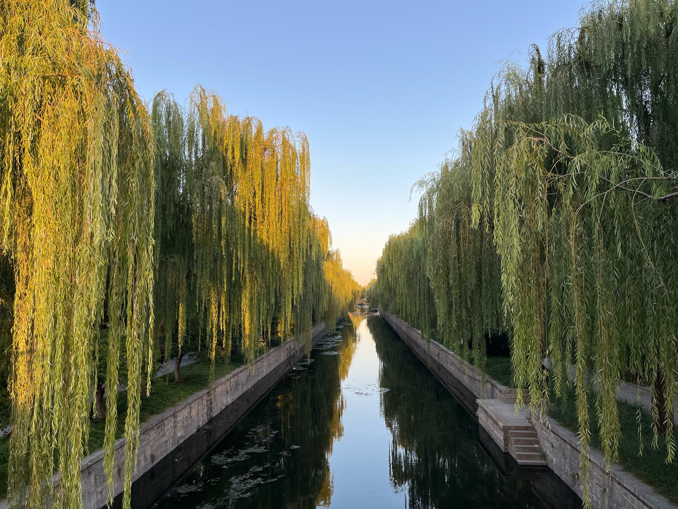 元大都的樱花开了,即将进入海棠花溪