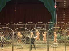 -满洲里口岸套娃景区