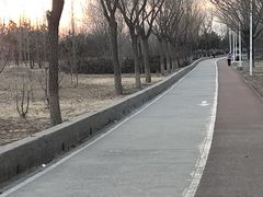 -绿堤公园