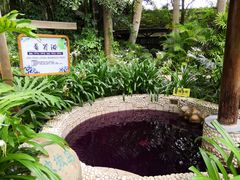 -嘉和K6温泉微度假
