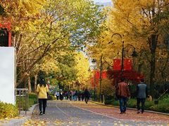 -北外滩滨江绿地