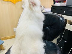 -宠颐生宠物医院·骨外科·犬猫全科诊疗中心(池州店)