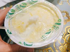 -德禄酸奶(莫家街店)