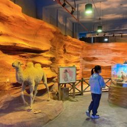 -酷嗒动物文化乐园(cutezoo西溪乐天城店)