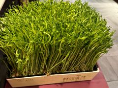-九鼎轩脆毛肚火锅(三钢里店)