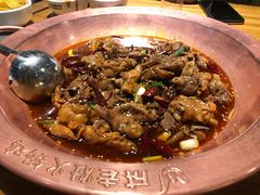 -成老灶火锅鸡(高东街店)