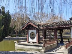 -团结湖公园