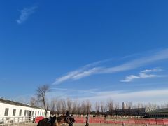 -北京群众马术培训基地