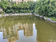 -龙头寺公园