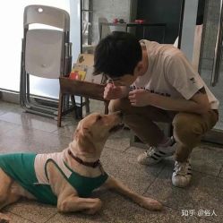 -GT潮朴美业