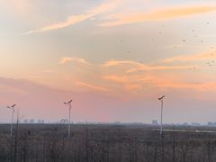 -南汇嘴观海公园