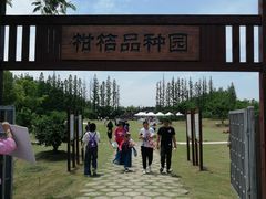 -上海长兴岛郊野公园