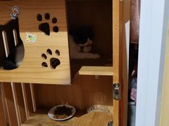-云城照相馆(龙湖雨山天街店)