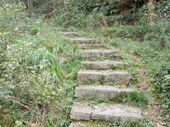 -青龙山国家森林公园