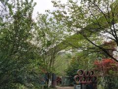 -勇士之星真人CS·团建·拓展(清水河公园店)