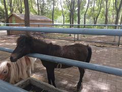 -长白岛森林公园