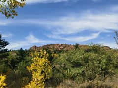 -红山国家森林公园