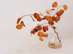-花沐 FLOWER BATH(凤凰城店)