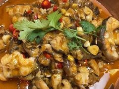 -洞庭家宴·头牌甲鱼(广渠门店)