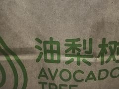 -油梨树AVOCADO TREE(望京店)