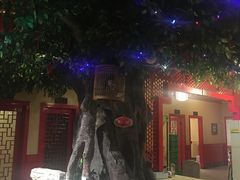 -哈老太太(联盟路店)