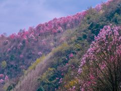 -九皇山景区