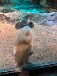 -酷嗒动物文化乐园(cutezoo西溪乐天城店)