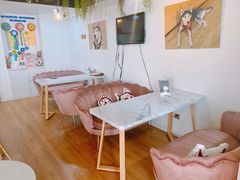 -Husky Go! 哈士奇体验馆·宠物咖啡厅狗咖