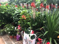 -秦美花卉(天朗·莱茵小城2期店)