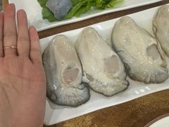 -濠轩阁特色生蚝火锅(水湾路店)