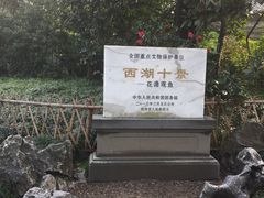 -西湖游船