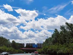 -黑龙江省森林植物园