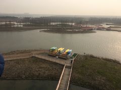 -春花秋色城市公园