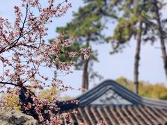 -寒山寺