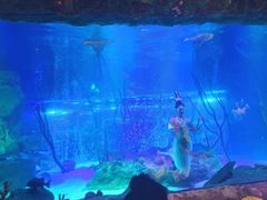 -沈阳海洋探索中心