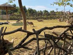 -泉州海丝野生动物世界