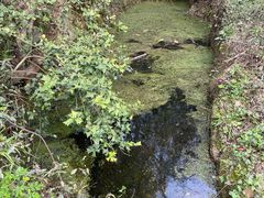-中国铁路上海局集团有限公司杭州职工培训基地