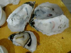 -蚝专家(北滘店)