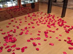 -圣丰索菲特·法国餐厅