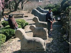 -雨花胜境